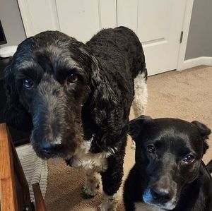 Meet your Posher, Carla